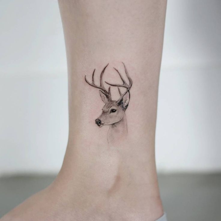 92 Great Deer Tattoo Photos