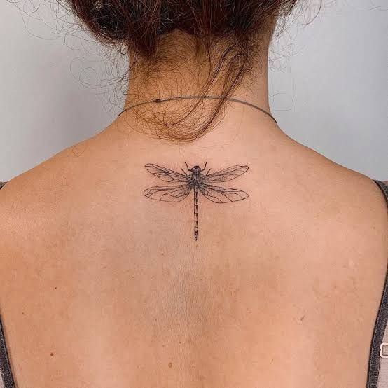 87 Fabulous Dragonfly Tattoo Pictures