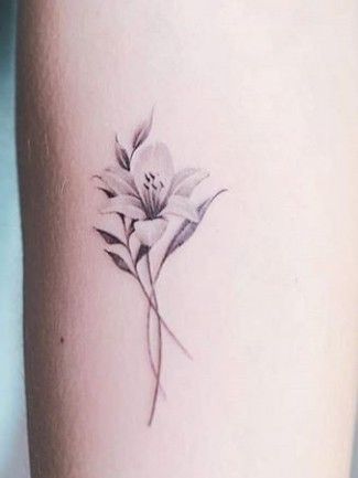 83 Fabulous Lily Tattoo Images