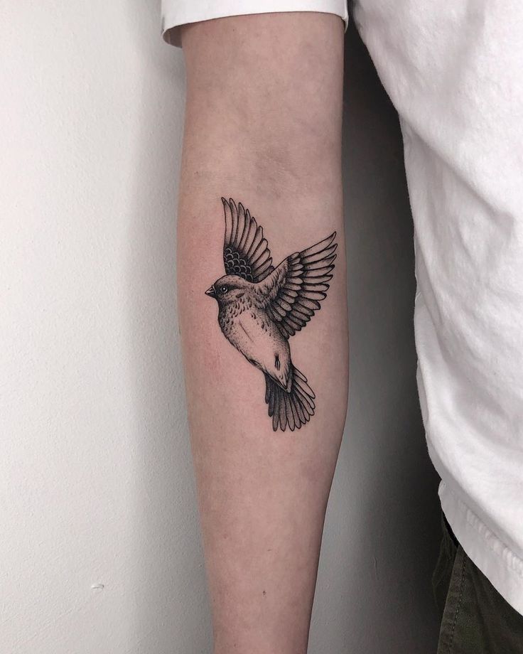 65 Fabulous Sparrow Tattoo Pictures