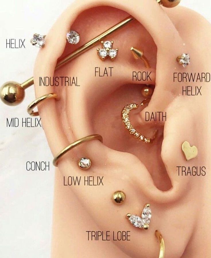 101 Impressive Ear Piercing Pictures