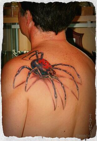 66 Unique Spider Tattoos For Back