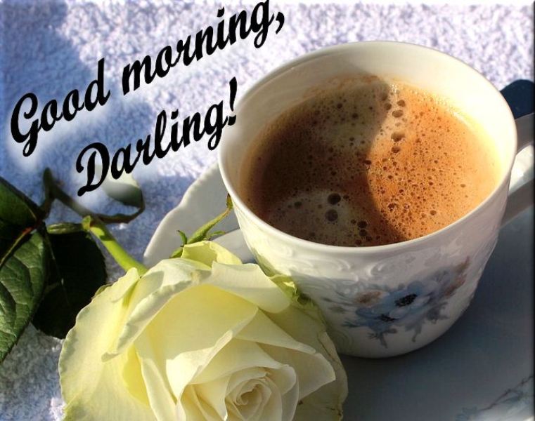 24 Amazing Good Morning Darling Pictures