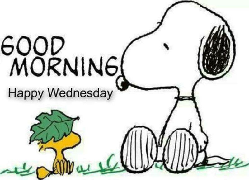 18 Cool Good Morning Snoopy Pics