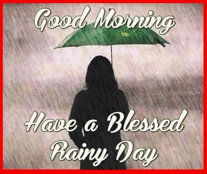 16 Amazing Good Morning Rainy Day Pics
