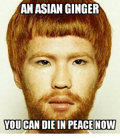 100 Hilarious Ginger Meme Images