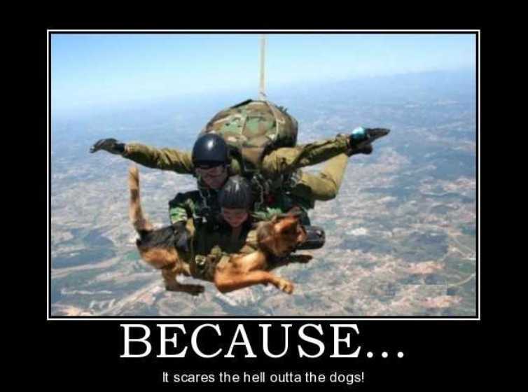 47 Selected Skydiving Meme Images