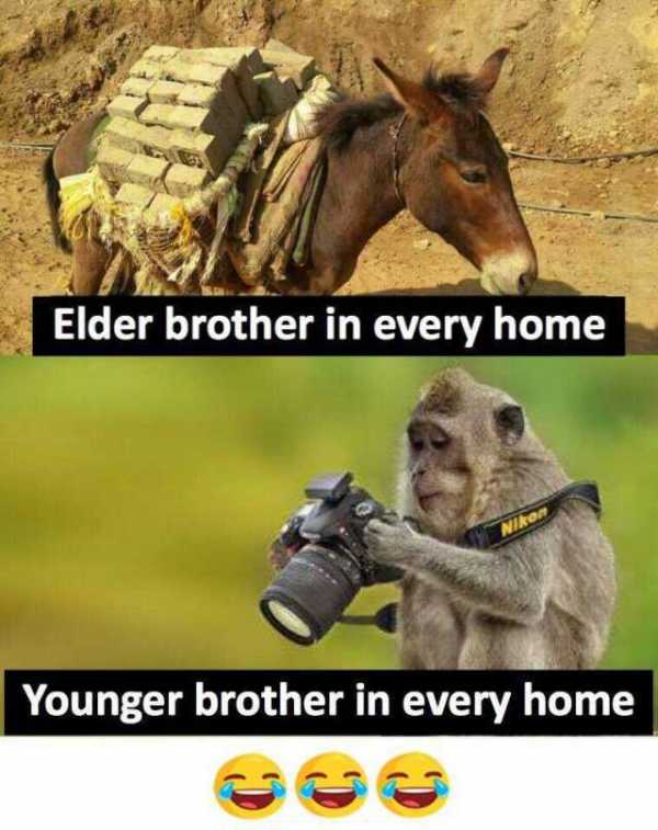 40 Wonderful Brother Meme Pictures