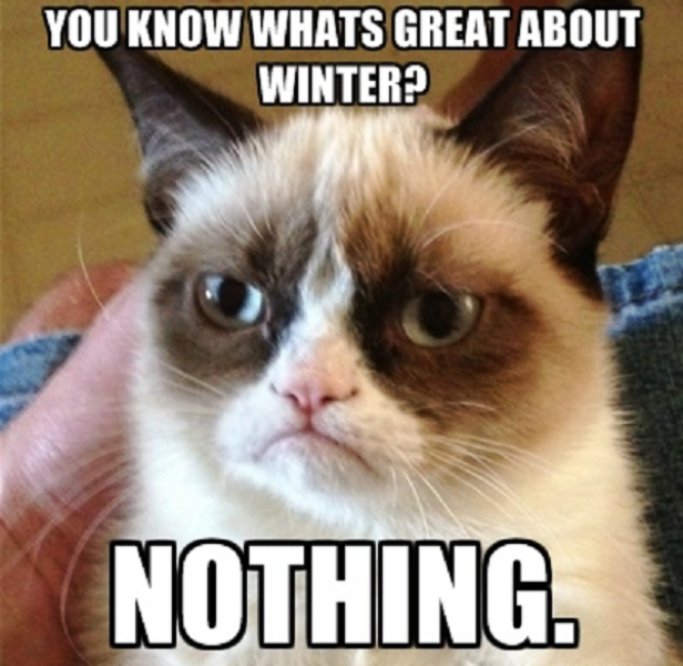 76 Cool Winter Meme Pics