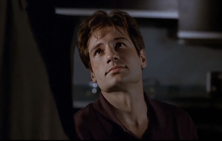 99 Outstanding David Duchovny Hairstyle Pics