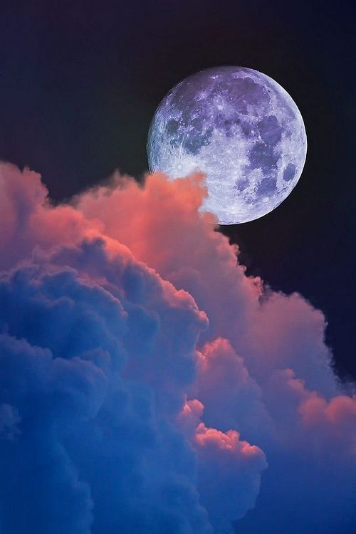 74 Excellent Moon Pics