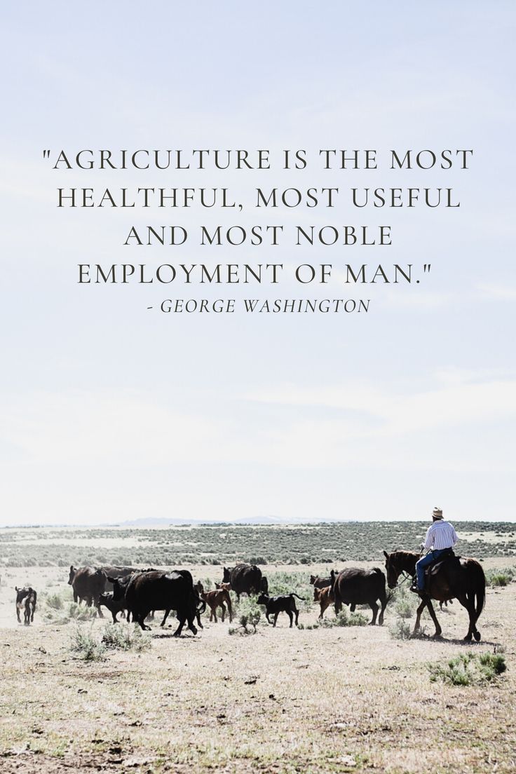 60 Fabulous Agriculture Quotes Images