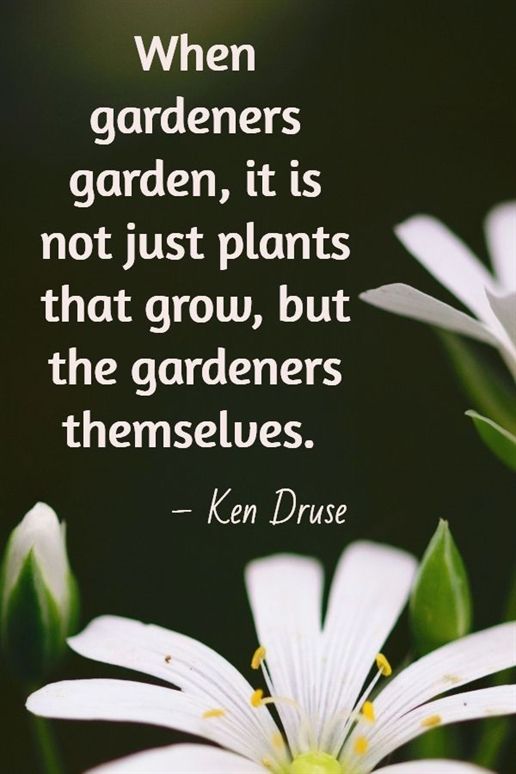 91 Beautiful Gardening Quotes Pics